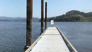 Bluegrass at the Beach Nehalem Bay State Park