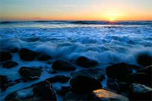 Bluegrass at the Beach accommodations